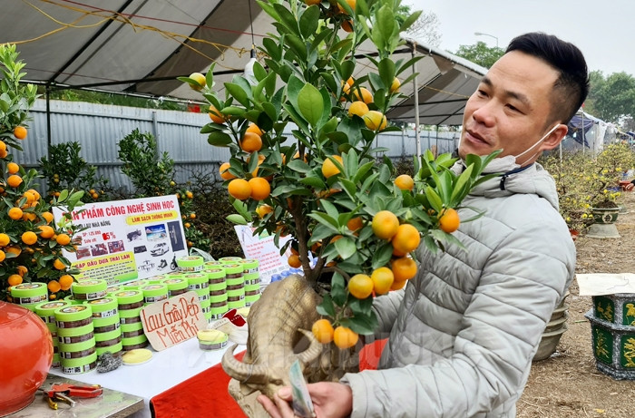 [Photos] Unique trees and fruits attract customers on Tet